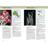 Lichens - The Macrolichens of Ontario and the Great Lakes Region of the United States