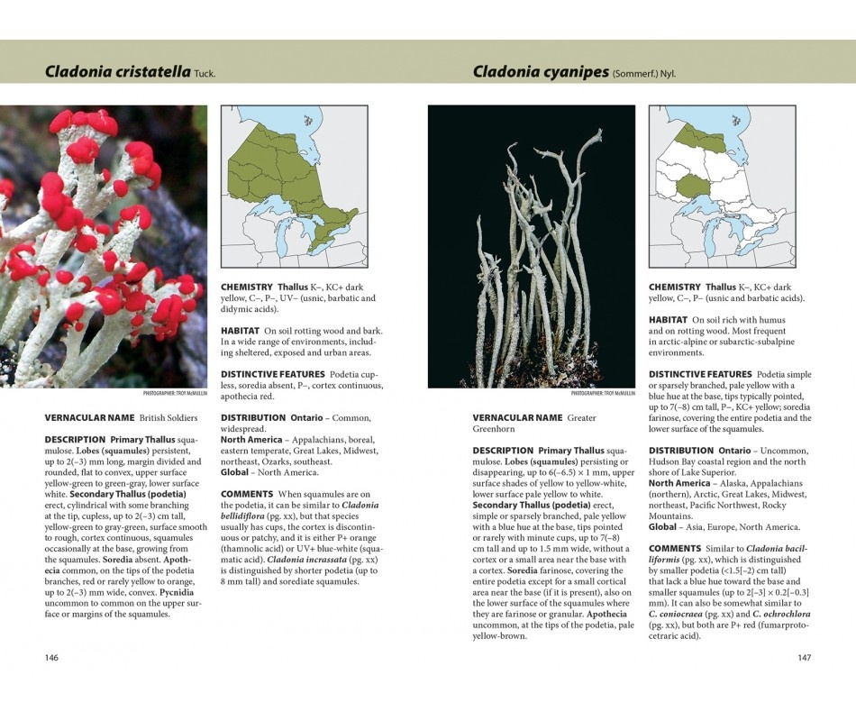 Lichens - The Macrolichens of Ontario and the Great Lakes Region of the United States