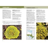 Lichens - The Macrolichens of Ontario and the Great Lakes Region of the United States