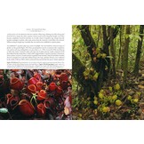 Nepenthes – The Tropical Pitcher Plants Volumes 1, 2 & 3