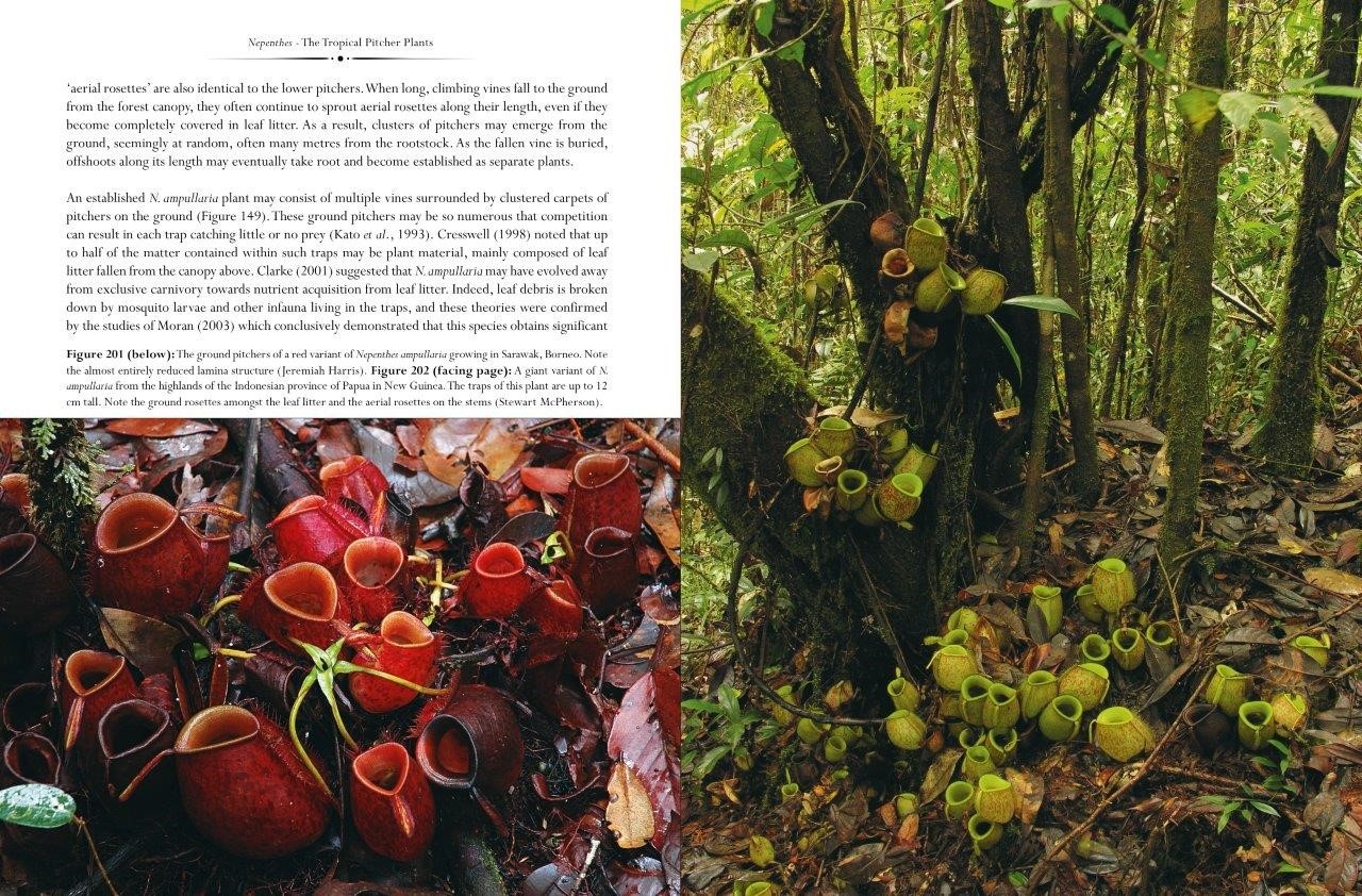 Nepenthes – The Tropical Pitcher Plants Volumes 1, 2 & 3