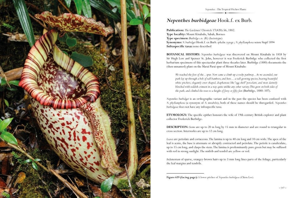 Nepenthes – The Tropical Pitcher Plants Volumes 1, 2 & 3