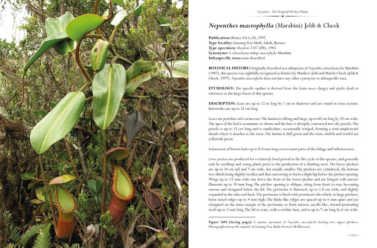 Nepenthes – The Tropical Pitcher Plants Volumes 1, 2 & 3