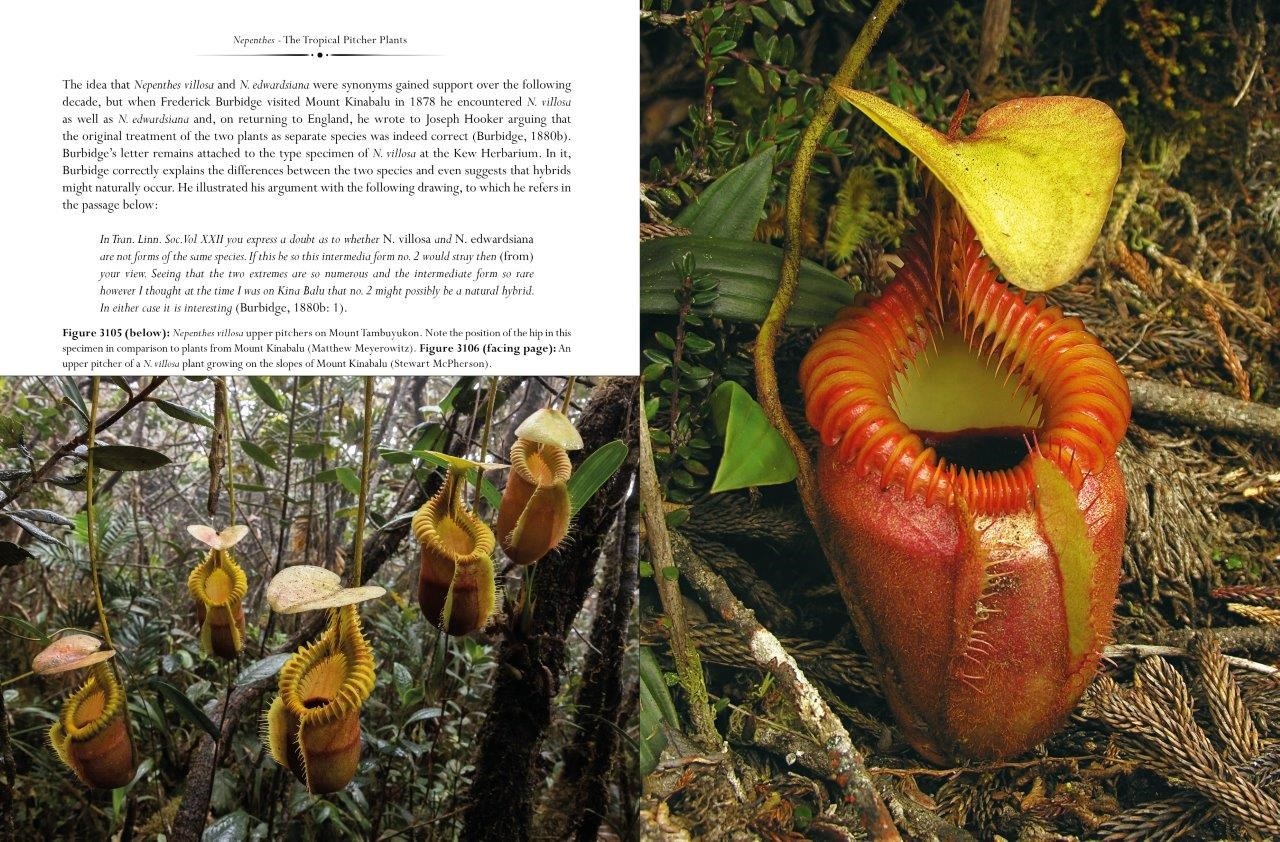 Nepenthes – The Tropical Pitcher Plants Volumes 1, 2 & 3