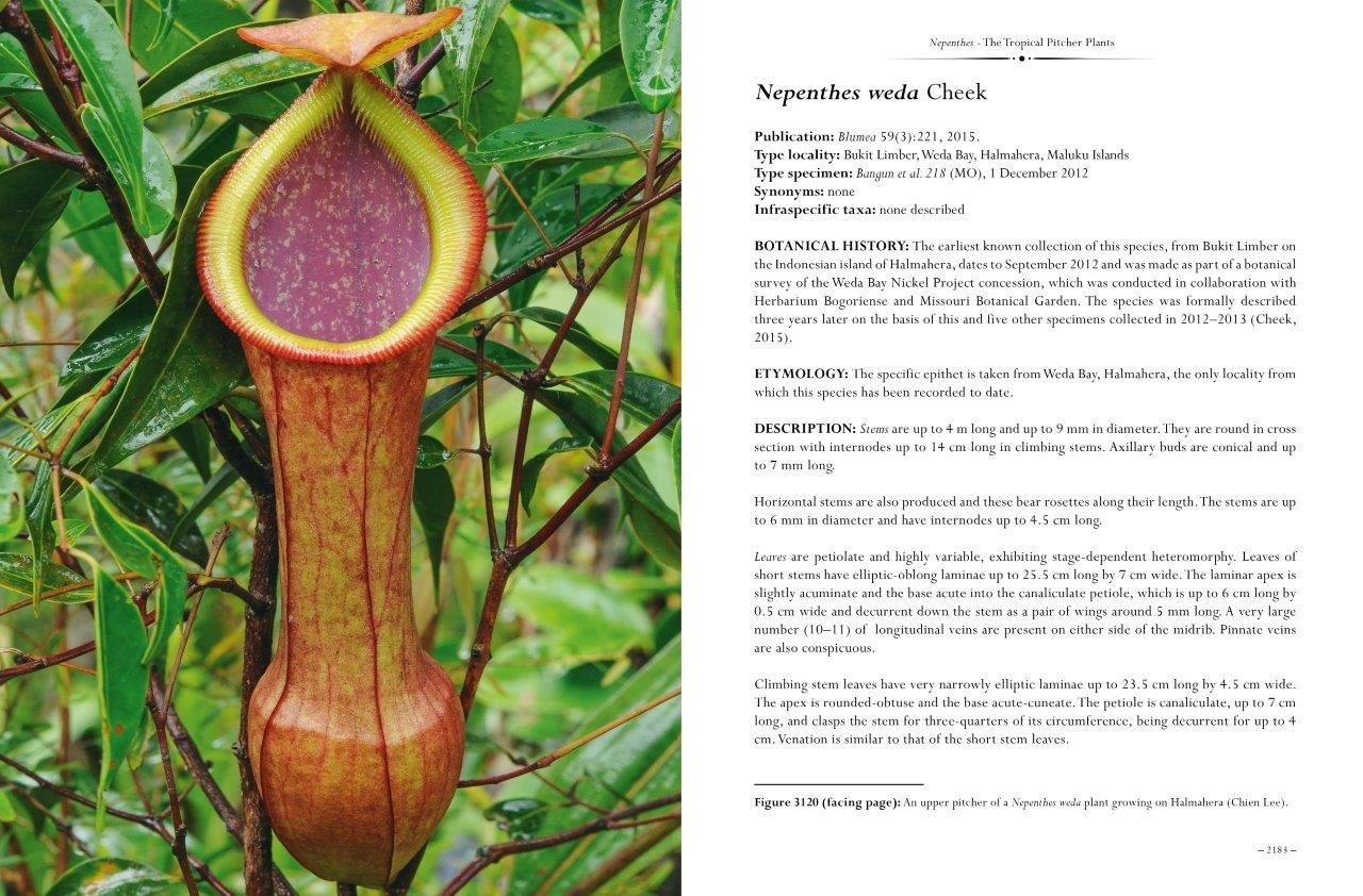 Nepenthes – The Tropical Pitcher Plants Volumes 1, 2 & 3