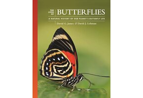 The Lives of Butterflies