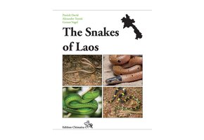 The Snakes of Laos