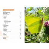 Op zoek naar vlinders en libellen - Mooie vlinder- en libellengebieden in Nederland