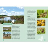 Op zoek naar vlinders en libellen - Mooie vlinder- en libellengebieden in Nederland