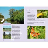 Op zoek naar vlinders en libellen - Mooie vlinder- en libellengebieden in Nederland