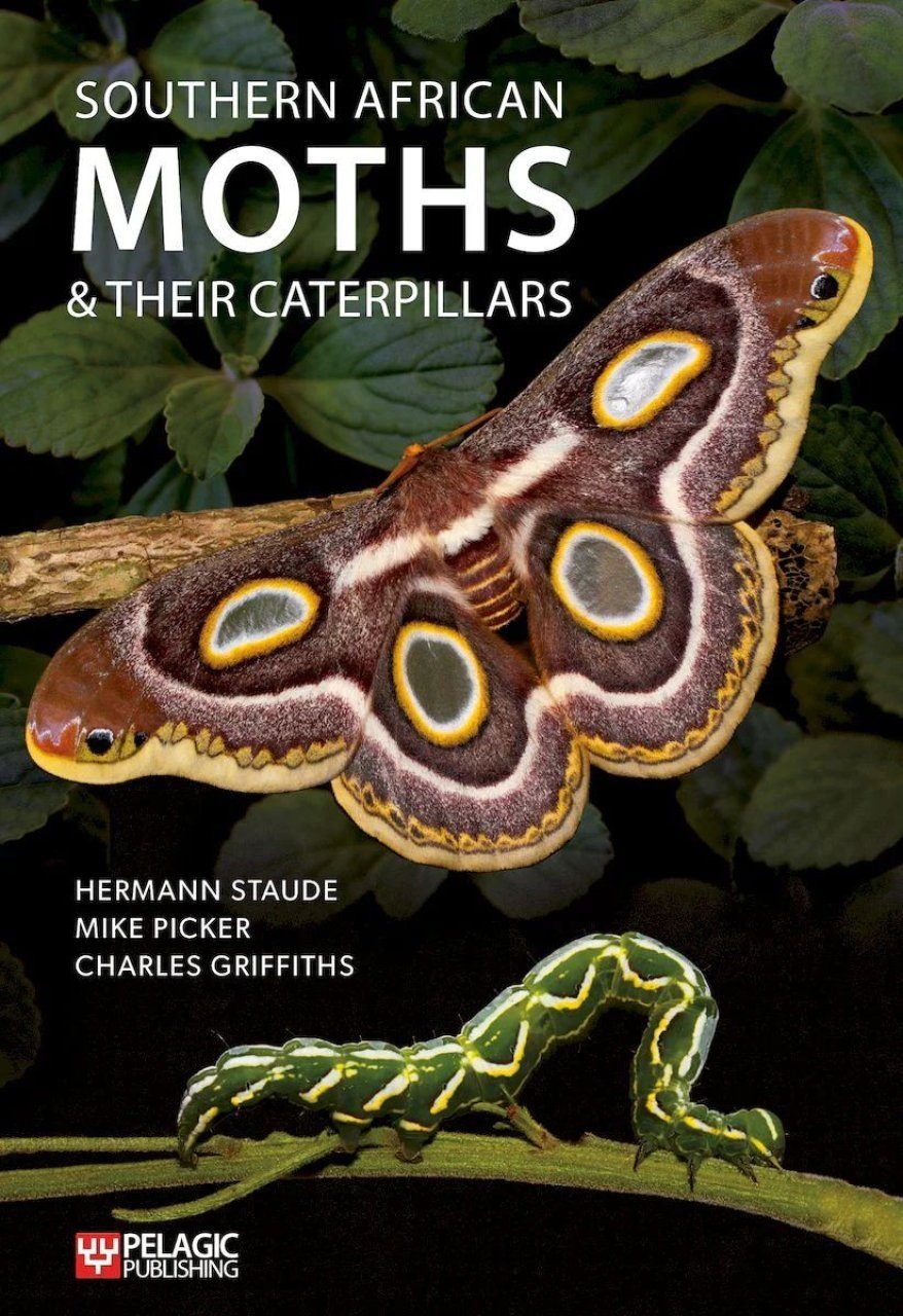 Southern African Moths & Their Caterpillars