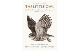 The Little Owl