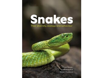 Snakes Their Ecology, Diversity and Behaviour