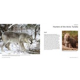 Wildlife of the North: Animals of the High Latitudes of North America and Europe