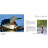 Wildlife of the North: Animals of the High Latitudes of North America and Europe