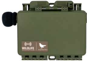 Song Meter Mini 2 AA