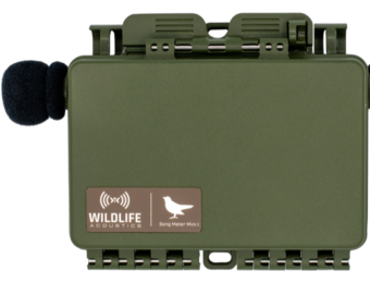 Song Meter Mini 2 AA