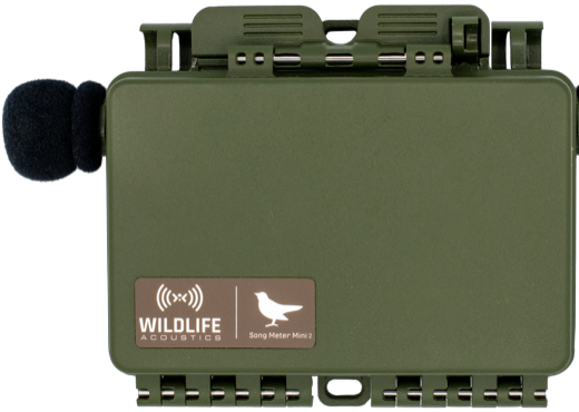 Song Meter Mini 2 AA