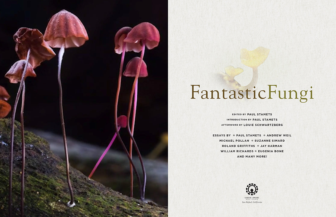 Fantastic Fungi - How Mushrooms Can Heal, Shift Consciousness, and Save the Planet