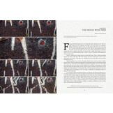 Fantastic Fungi - How Mushrooms Can Heal, Shift Consciousness, and Save the Planet