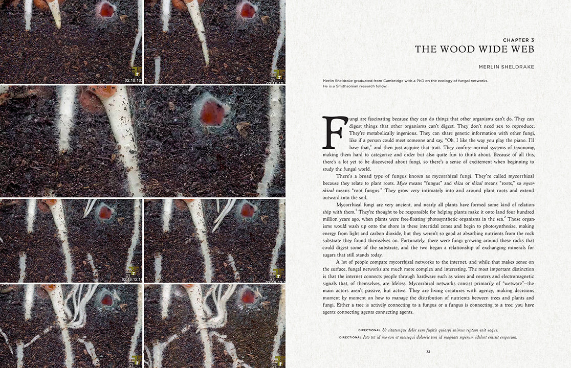 Fantastic Fungi - How Mushrooms Can Heal, Shift Consciousness, and Save the Planet