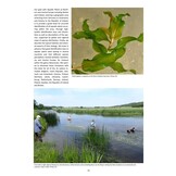 Aquatic Plants of Northern and Central Europe including Britain and Ireland