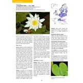 Aquatic Plants of Northern and Central Europe including Britain and Ireland