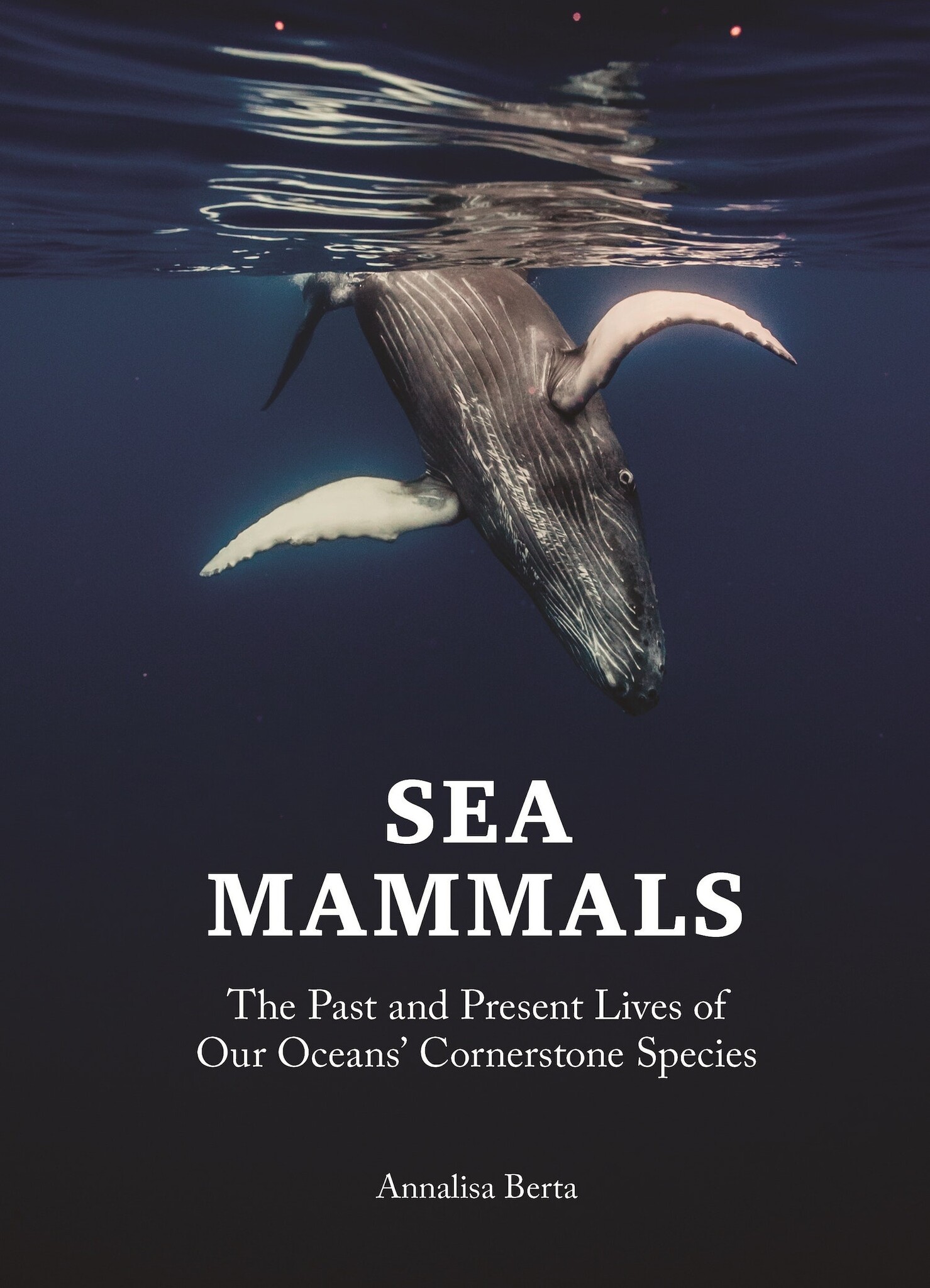 Sea Mammals: The Past and Present Lives of Our Oceans’ Cornerstone Species