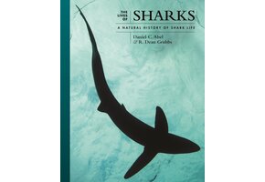 The Lives of Sharks