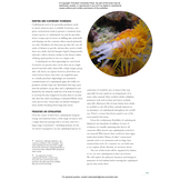 The Lives of Octopuses and Their Relatives: A Natural History of Cephalopods