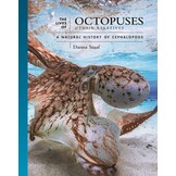 The Lives of Octopuses and Their Relatives: A Natural History of Cephalopods