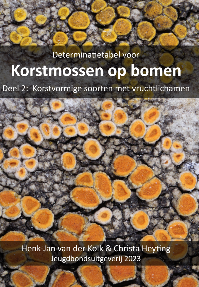 Determinatietabel voor Korstmossen op bomen - Deel 2: Korstvormige soorten met vruchtlichamen