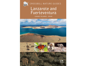 Crossbill Guide Lanzarote and Fuerteventura