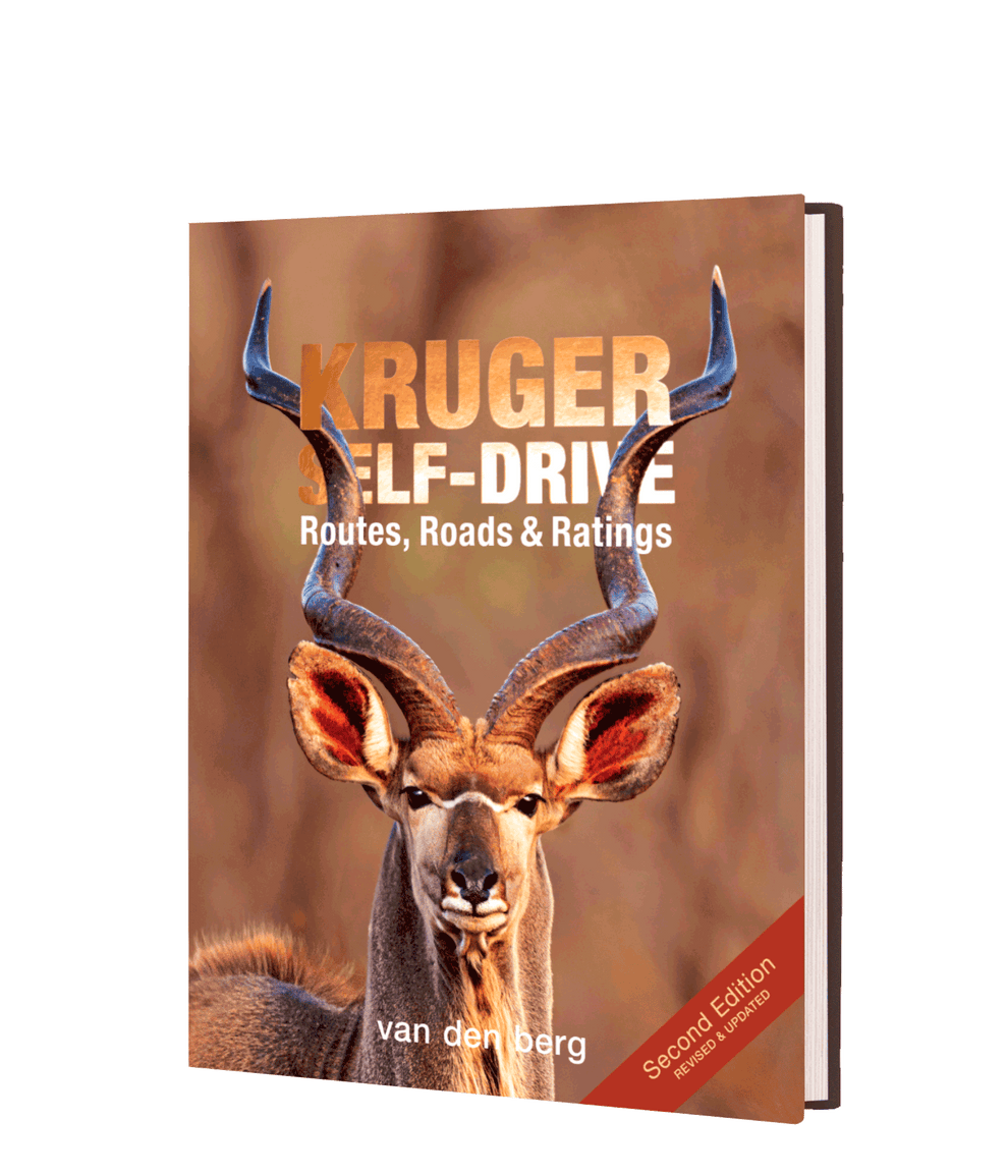 Kruger Self-Drive - Routes, Roads & Ratings