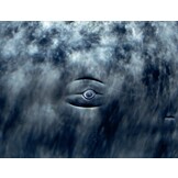 Sperm Whales - The Gentle Goliaths of the Ocean