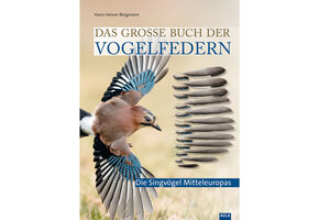 Das grosse Buch der Vogelfedern