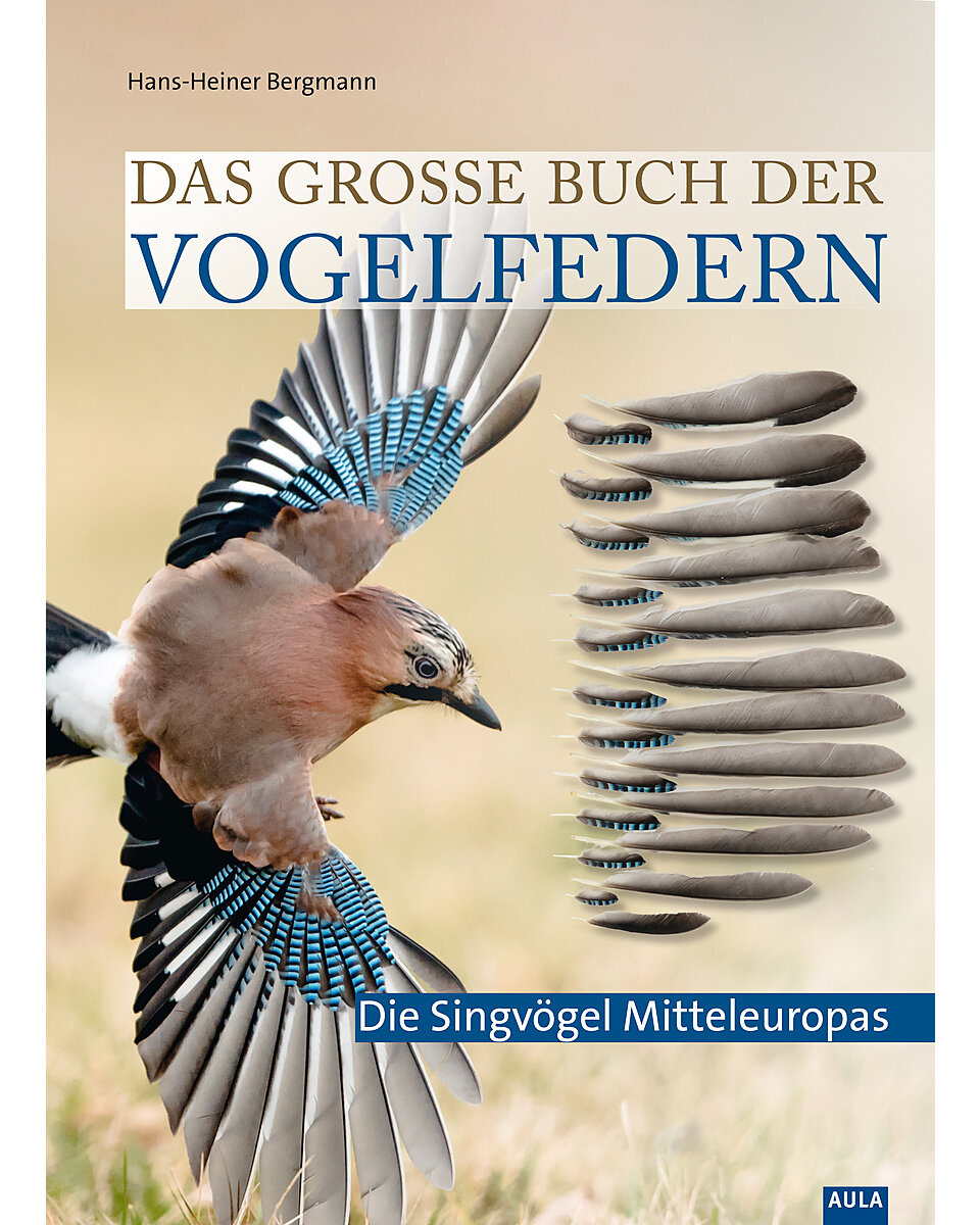 Das grosse Buch der Vogelfedern - Band I: Die Singvögel Mitteleuropas