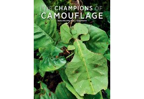 The Champions of Camouflage
