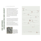 Farne - Vielfalt und Geschichte einer der ältesten Pflanzengruppen