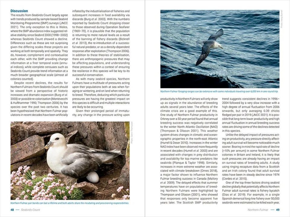 Seabirds Count - A census of breeding seabirds in Britain and Ireland (2015–2021)