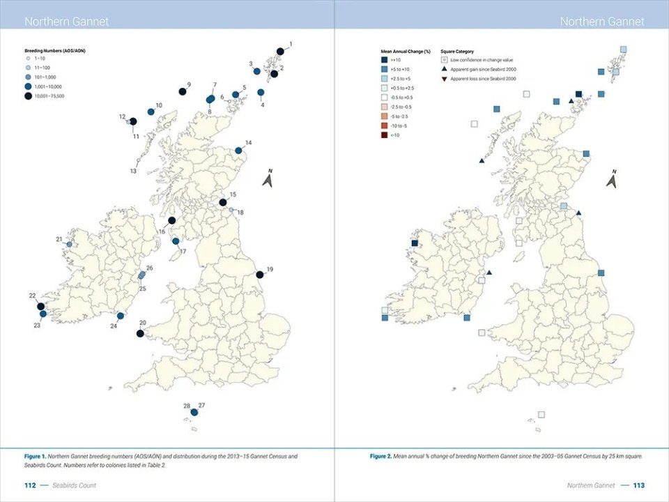 Seabirds Count - A census of breeding seabirds in Britain and Ireland (2015–2021)