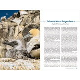 Seabirds Count - A census of breeding seabirds in Britain and Ireland (2015–2021)