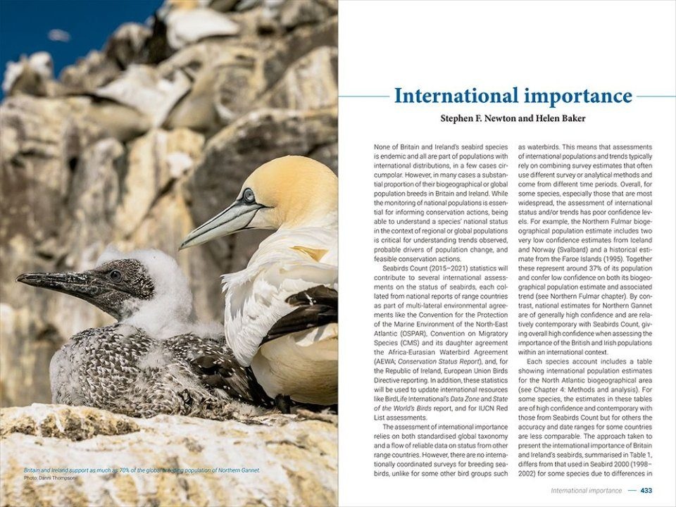 Seabirds Count - A census of breeding seabirds in Britain and Ireland (2015–2021)