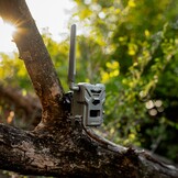 Spypoint Flex E-36 Cameraval