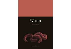 Worm