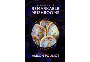 Meetings with Remarkable Mushrooms