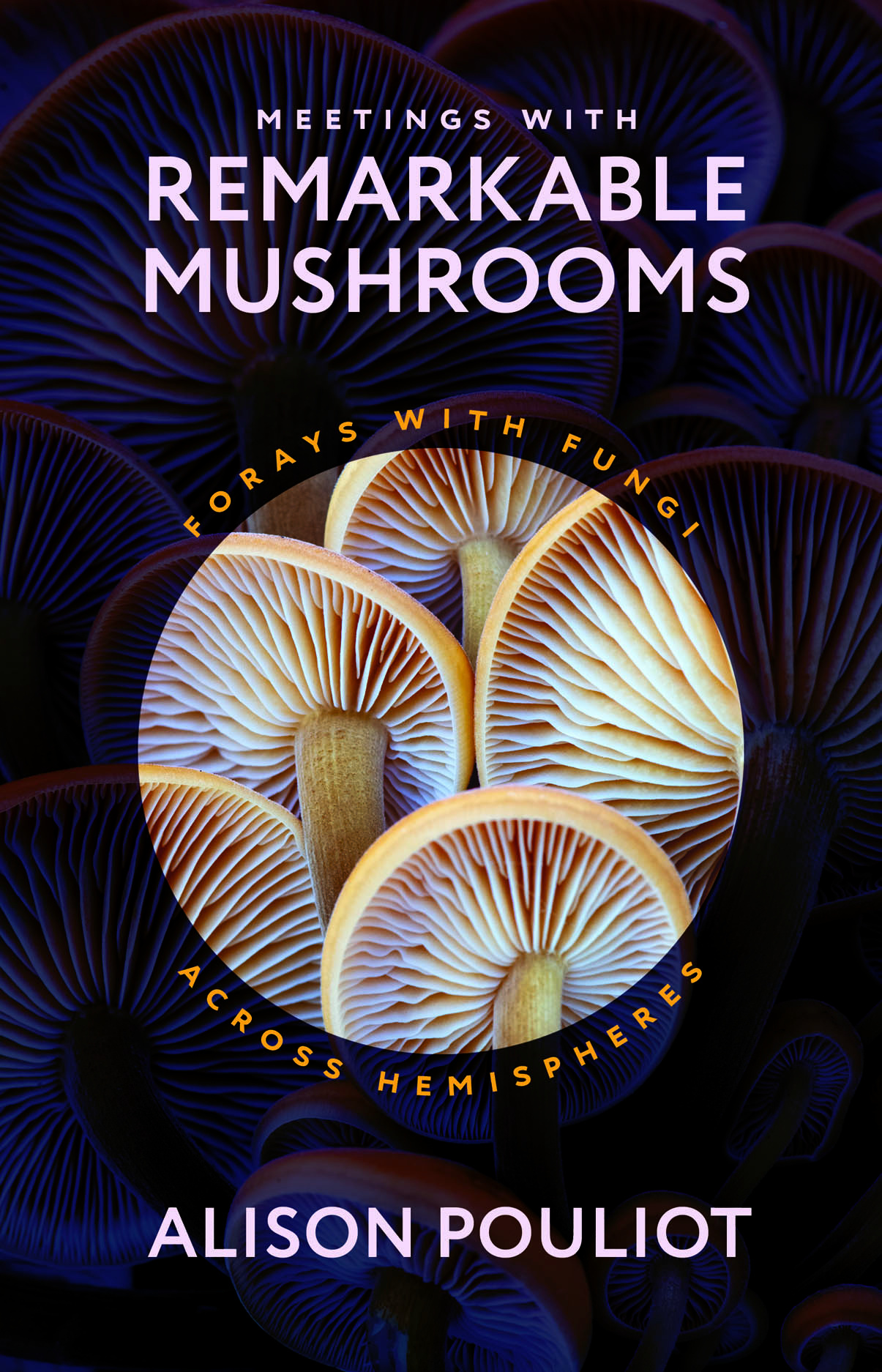 Meetings with Remarkable Mushrooms - Forays with Fungi across Hemispheres