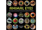 Animal Eyes