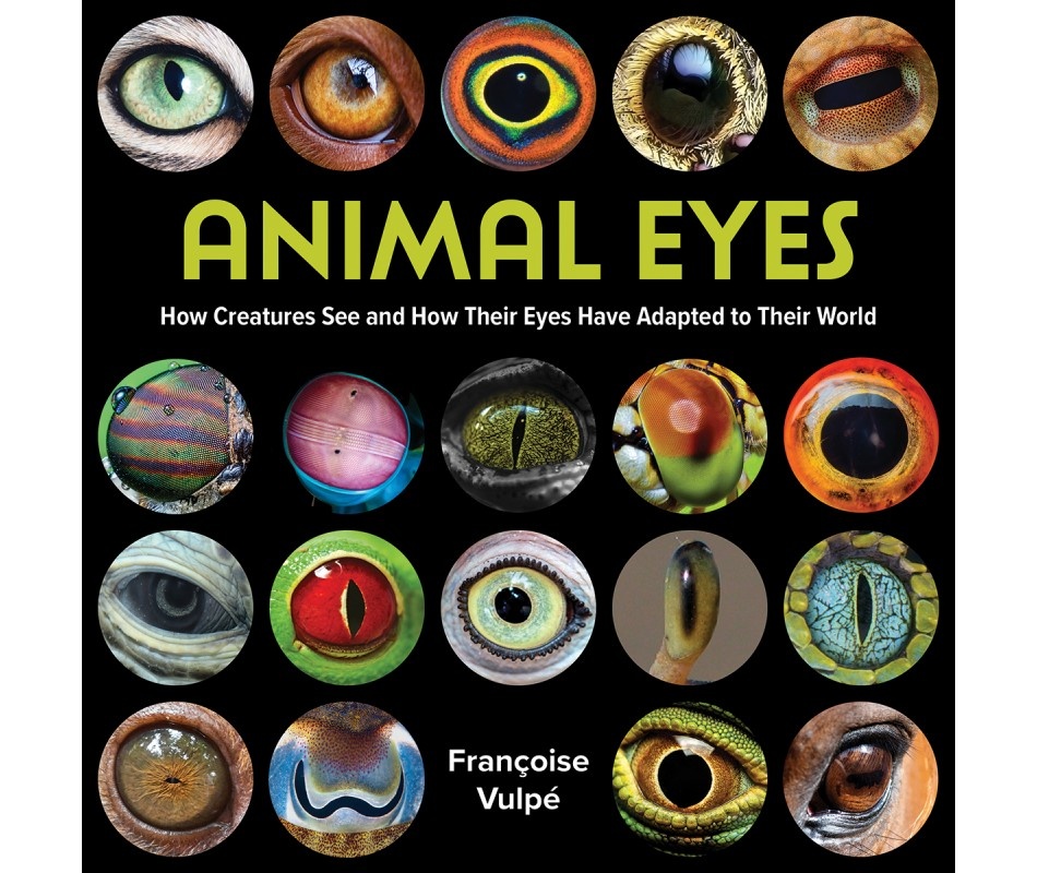 Animal Eyes - How Creatures See and How Their Eyes Have Adapted to Their World