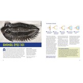 Animal Eyes - How Creatures See and How Their Eyes Have Adapted to Their World